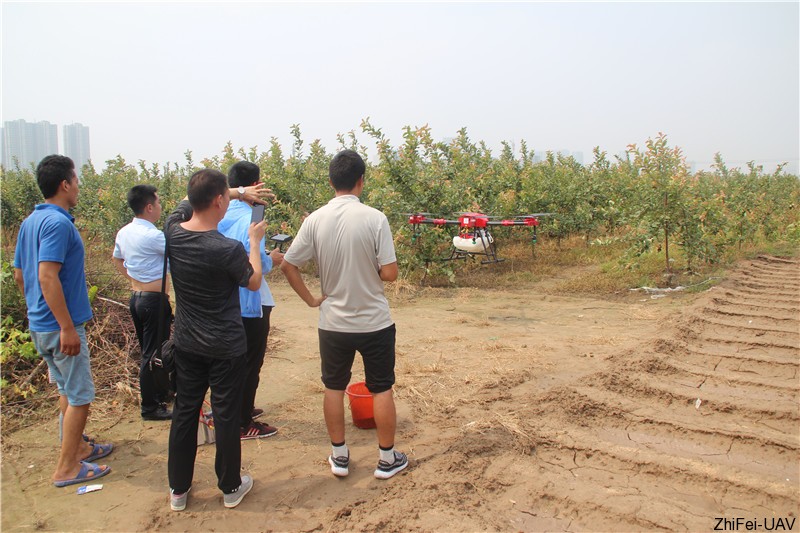 1534152369795744.jpg IMG_0420.JPG