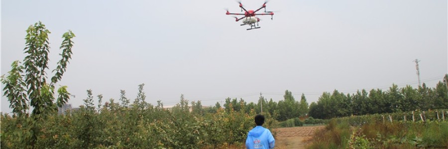 智飛極農(nóng)亮相保定市示范果園上空